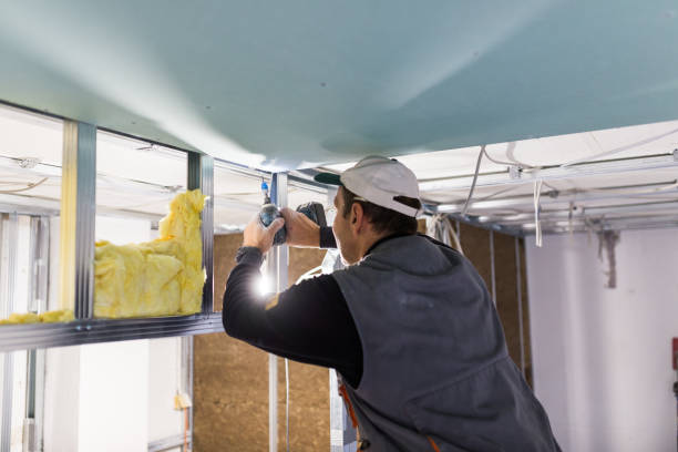 Best Insulation Contractors for Homes  in Dilworth, MN